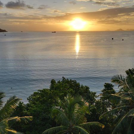 Nautilus Apartments Anse Royale Bagian luar foto